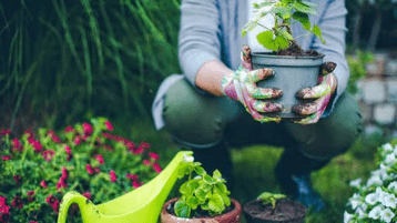 6 Garten-Typen: Das sagt dein Garten über dich aus